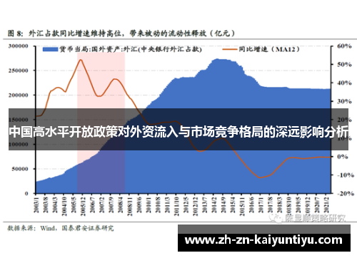 中国高水平开放政策对外资流入与市场竞争格局的深远影响分析 中国高水平开放政策对外资流入与市场竞争格局的深远影响分析