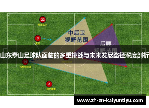 山东泰山足球队面临的多重挑战与未来发展路径深度剖析 山东泰山足球队面临的多重挑战与未来发展路径深度剖析