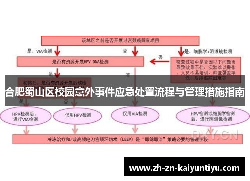 合肥蜀山区校园意外事件应急处置流程与管理措施指南 合肥蜀山区校园意外事件应急处置流程与管理措施指南
