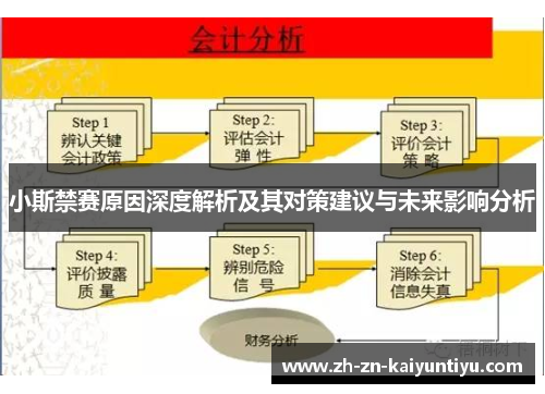 小斯禁赛原因深度解析及其对策建议与未来影响分析 小斯禁赛原因深度解析及其对策建议与未来影响分析