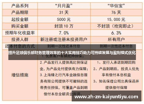 提升足球俱乐部财务管理效率的十大实用技巧助力可持续发展与盈利模式优化 提升足球俱乐部财务管理效率的十大实用技巧助力可持续发展与盈利模式优化
