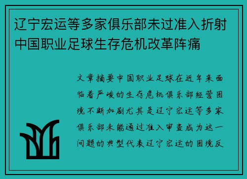 辽宁宏运等多家俱乐部未过准入折射中国职业足球生存危机改革阵痛